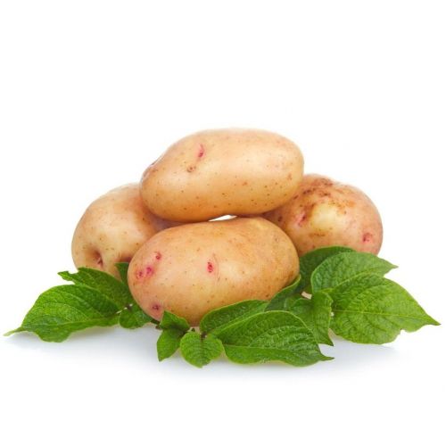 Картофель