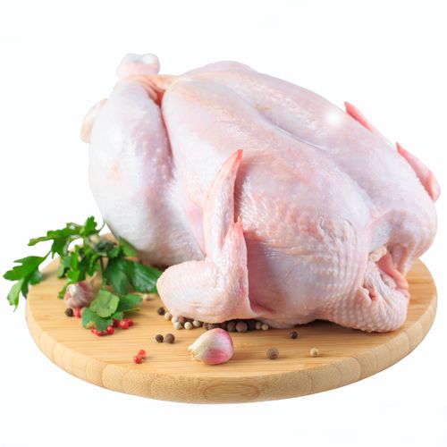 Мясо домашних цыплят