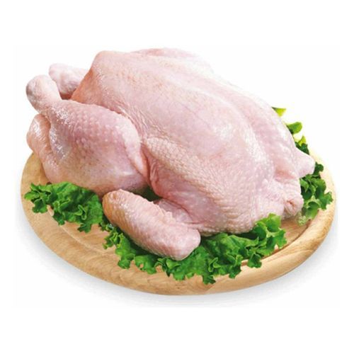 Мясо домашних цыплят