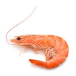 Креветки королевские