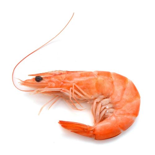 Креветки королевские