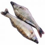 Судак охлажденный
