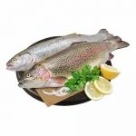 Форель замороженная