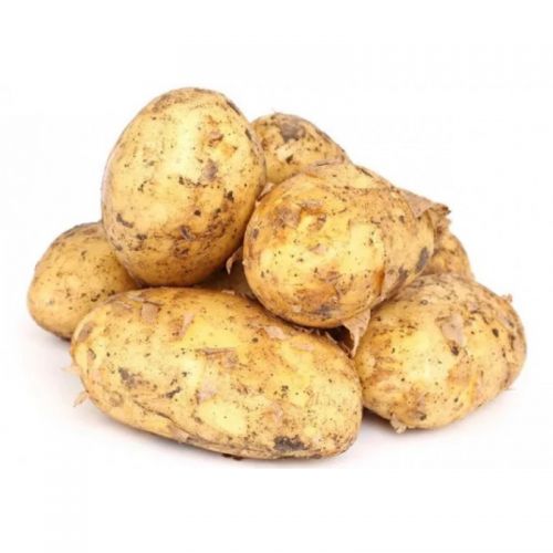 Картофель Картофель