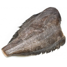 Палтус замороженный