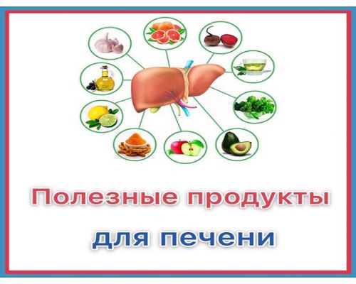 Продукты полезные для печени