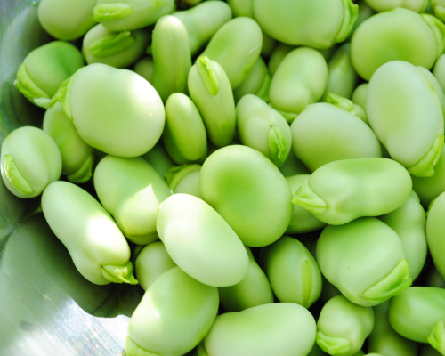 Кулинарные возможности садовых (конских) бобов