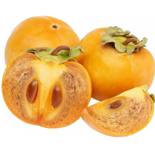 Хурма