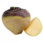 Брюква