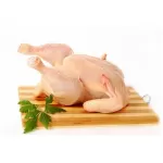Домашняя курица