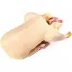 Тушка утки