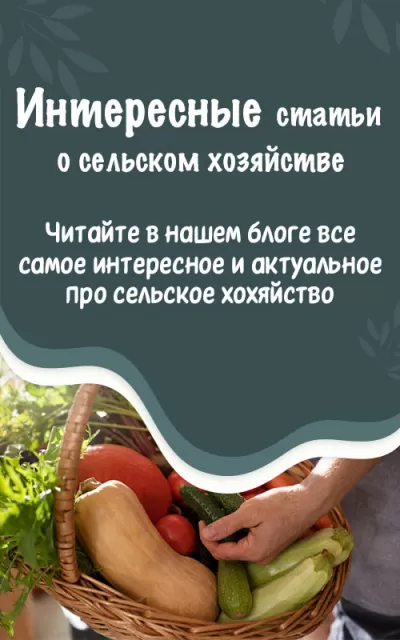 третий