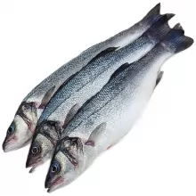 Сибас замороженный