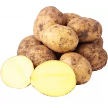 Картофель удача Картофель удача