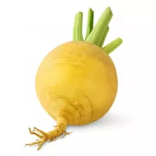 Репа
