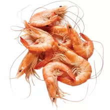 Креветки королевские
