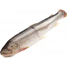 Кунджа замороженная