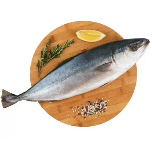 Лакедра замороженная