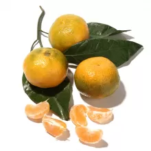 Мандарины Мандарины
